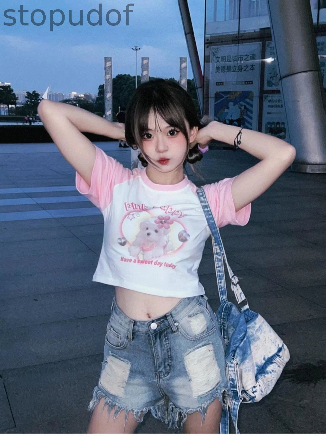 Pink Puppy Crop Top
